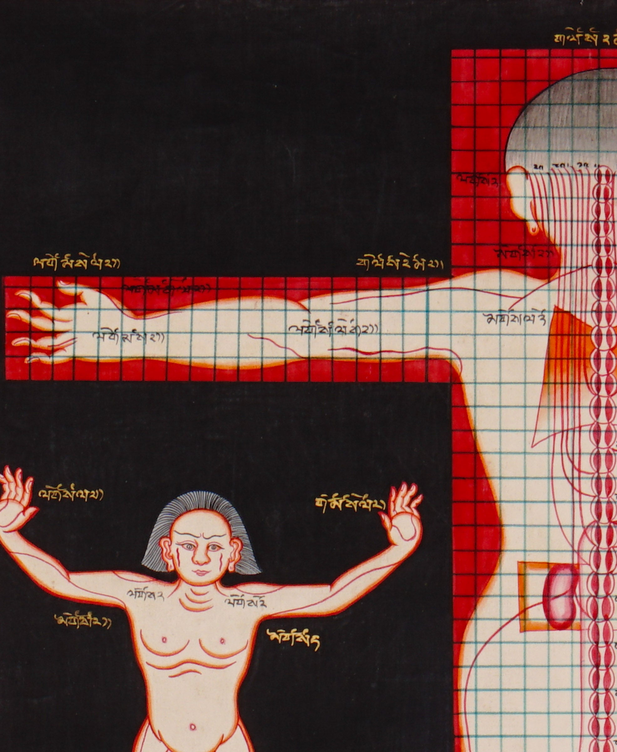 Tibetan Anatomy Thangka Painting showing traditional human body diagrams with front and back views, spinal lines, red grid markings, body points and Tibetan script labels on a black background.