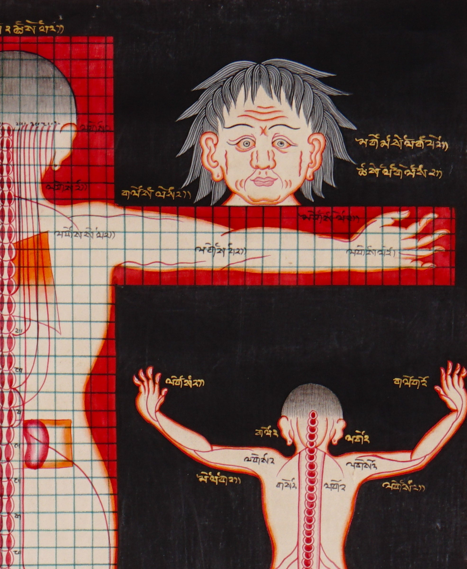 Tibetan Anatomy Thangka Painting showing traditional human body diagrams with front and back views, spinal lines, red grid markings, body points and Tibetan script labels on a black background.