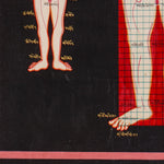 Tibetan Anatomy Thangka Painting showing traditional human body diagrams with front and back views, spinal lines, red grid markings, body points and Tibetan script labels on a black background.