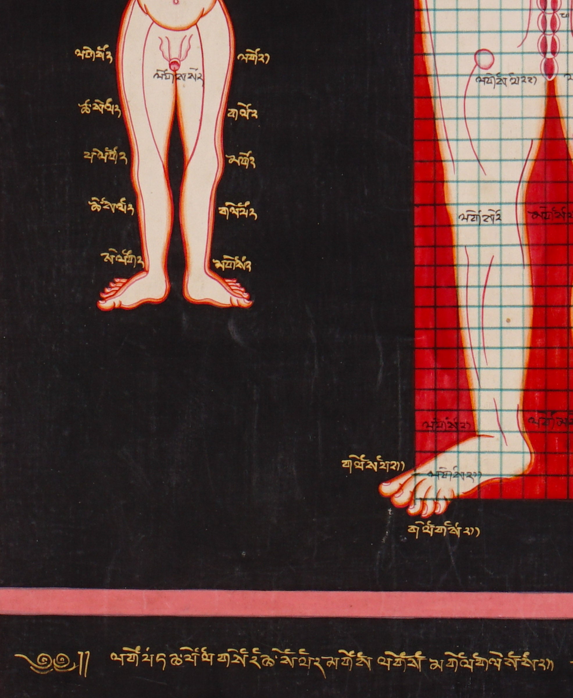 Tibetan Anatomy Thangka Painting showing traditional human body diagrams with front and back views, spinal lines, red grid markings, body points and Tibetan script labels on a black background.
