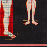 Tibetan Anatomy Thangka Painting showing traditional human body diagrams with front and back views, spinal lines, red grid markings, body points and Tibetan script labels on a black background.