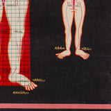 Tibetan Anatomy Thangka Painting showing traditional human body diagrams with front and back views, spinal lines, red grid markings, body points and Tibetan script labels on a black background.