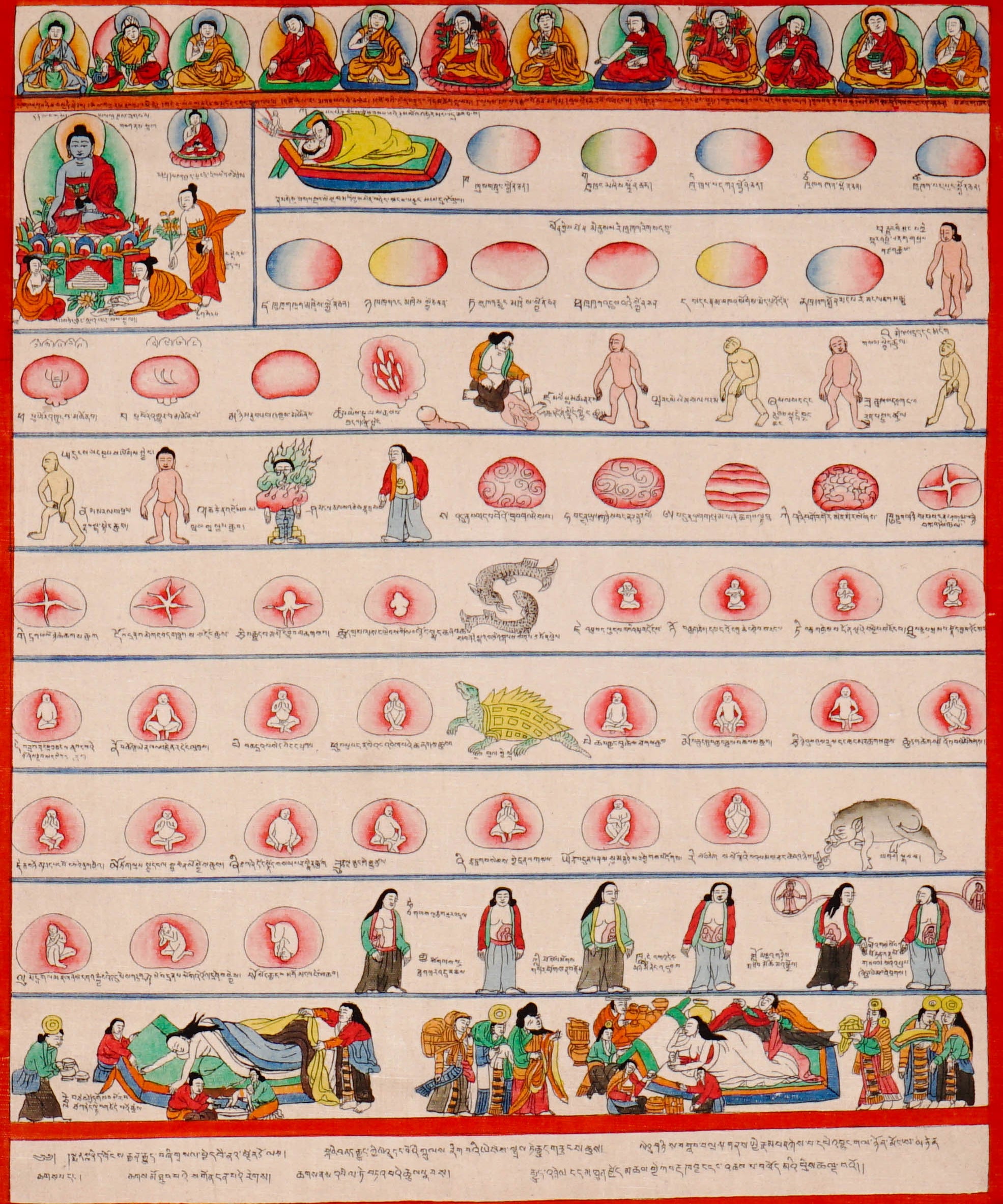 Tibetan Medicine Plant Thangka Painting showing traditional herbal medicine illustrations, body diagrams, healing scenes, medical symbols