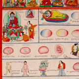 Tibetan Medicine Plant Thangka Painting showing traditional herbal medicine illustrations, body diagrams, healing scenes, medical symbols