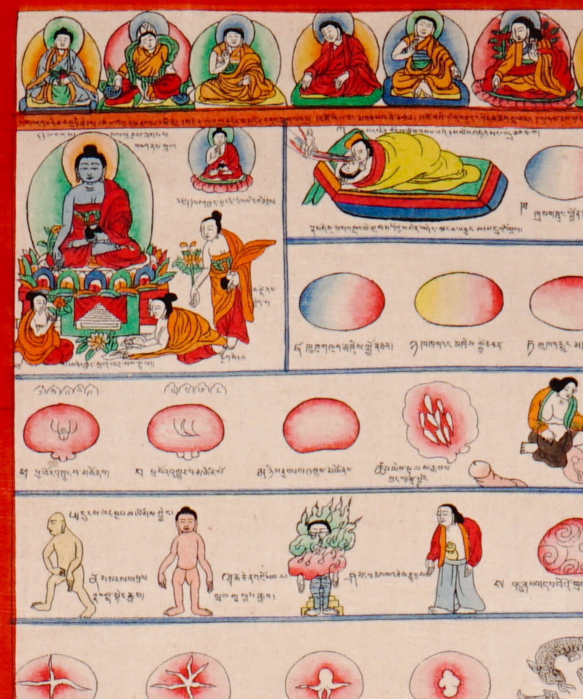 Tibetan Medicine Plant Thangka Painting showing traditional herbal medicine illustrations, body diagrams, healing scenes, medical symbols