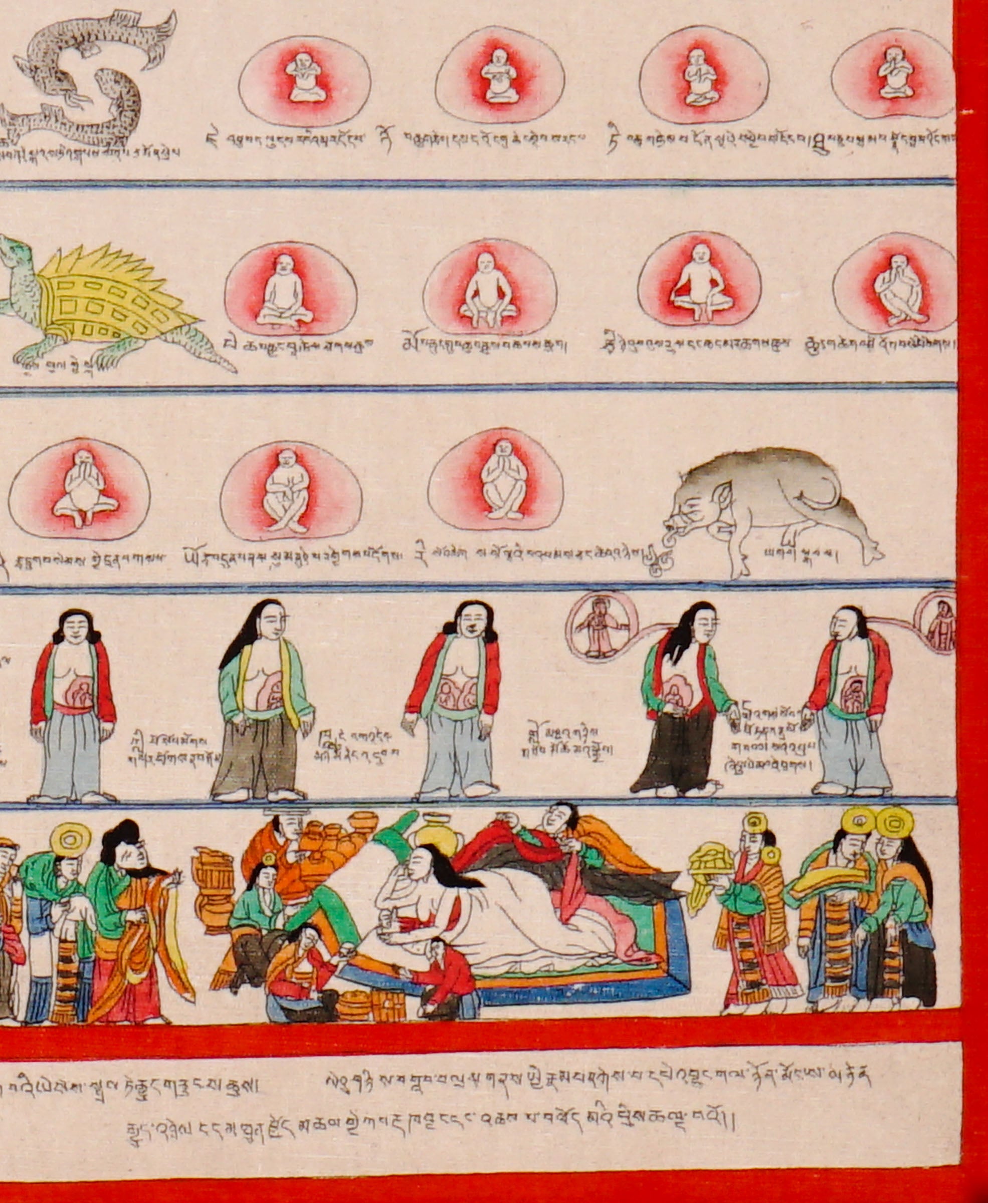 Tibetan Medicine Plant Thangka Painting showing traditional herbal medicine illustrations, body diagrams, healing scenes, medical symbols