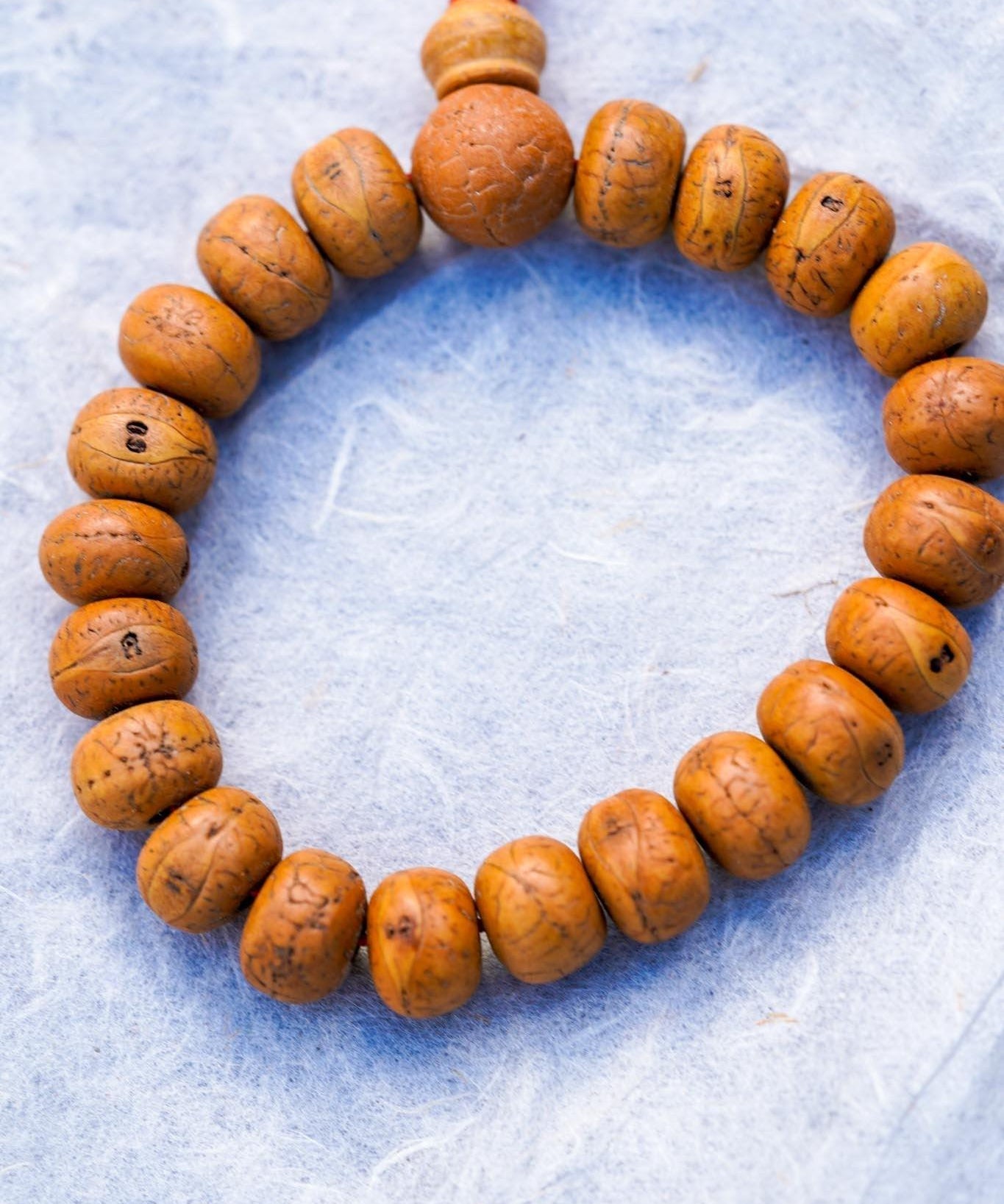 Bodhi Bead Bracelet - Tibetan Bracelet | Unisex Authentic Bodhi Bracelet