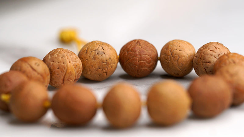 Bodhi Seed Bracelet beads close up