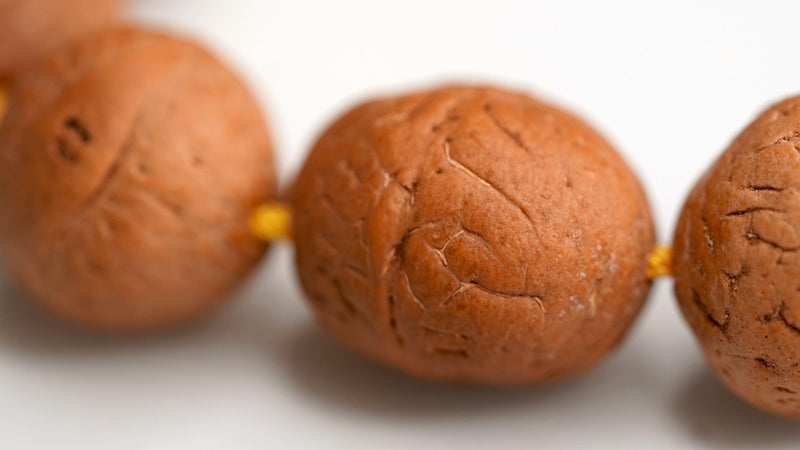 Bodhi Seed Bracelet close up