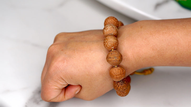 Bodhi Seed Bracelet around wrist 