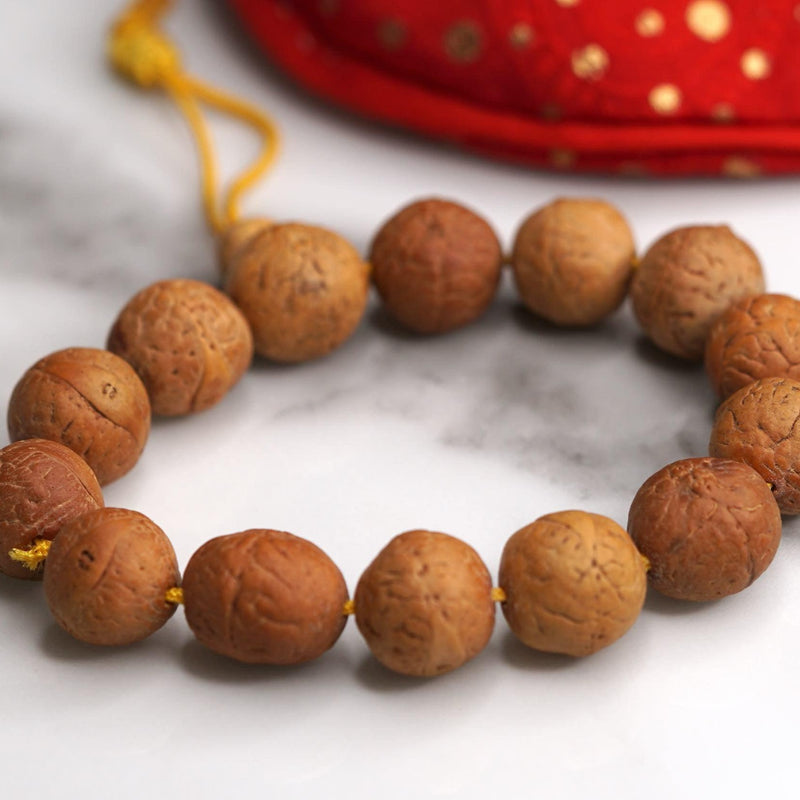 Bodhi Seed Bracelet