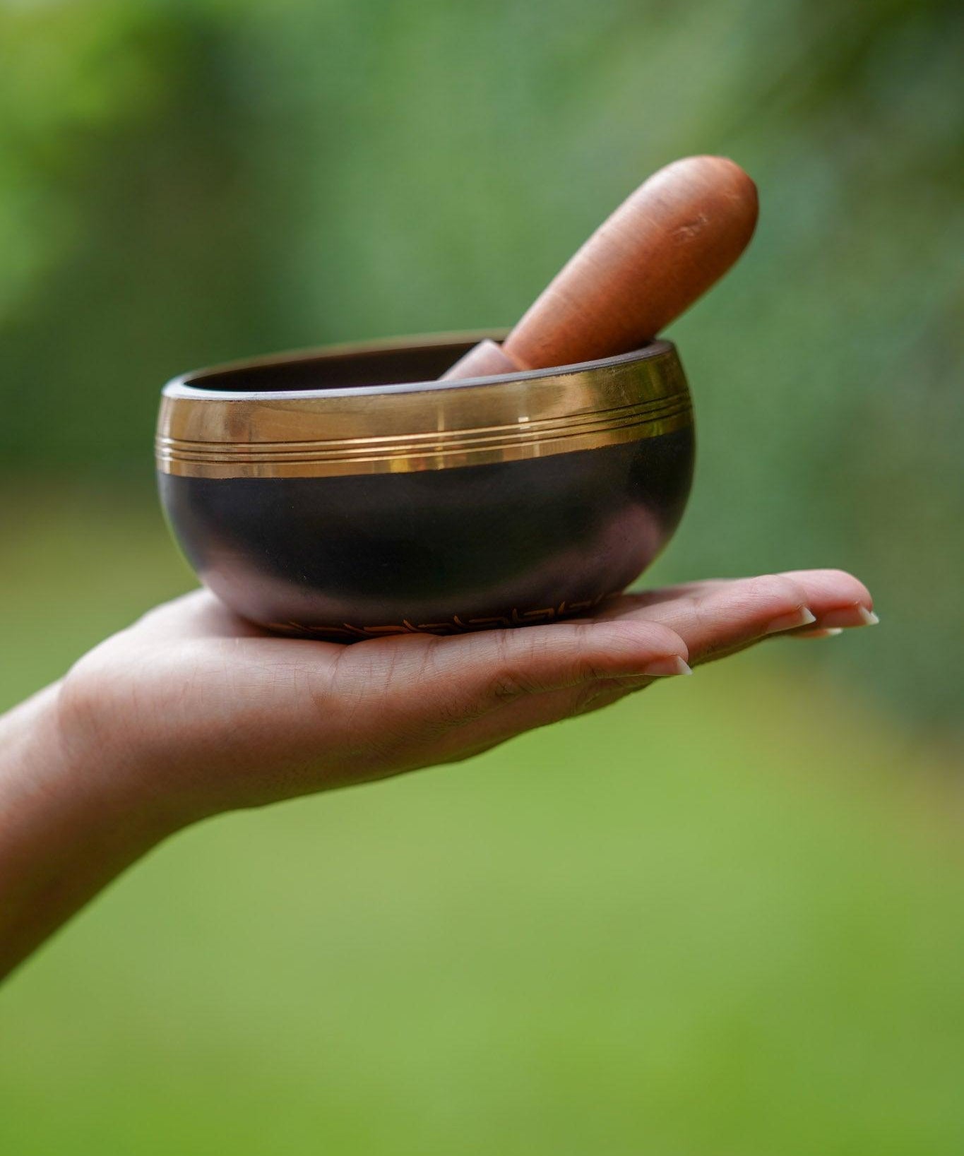 Hamsa Singing Bowl - Himalayas Shop