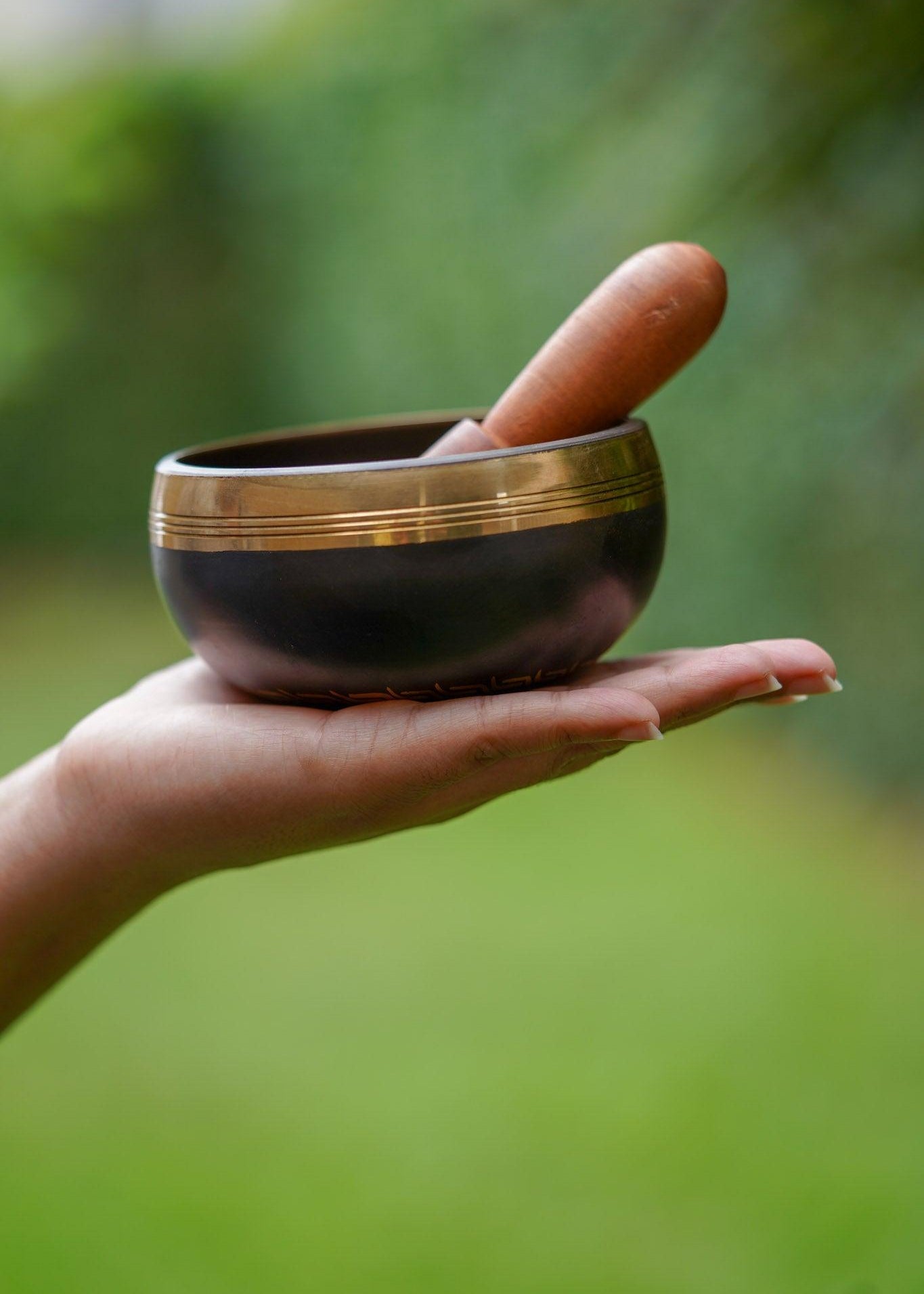 Hamsa Singing Bowl - Himalayas Shop