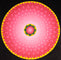 Red Lotus Mandala - Himalayas Shop