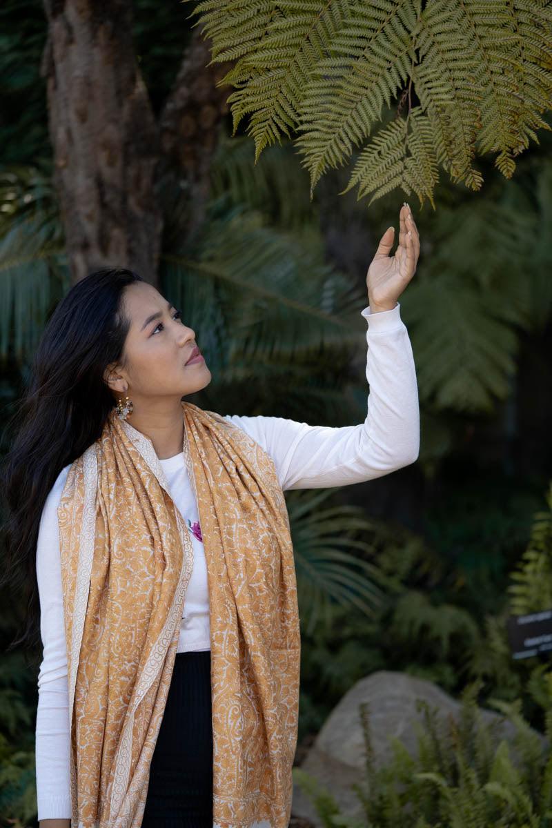Premium quality women shawls 