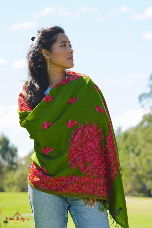 Pashmina shawl is among the most desirable shawl because of its softness, smoothness and warmness. Green pashmina shawl with pink embroidery  for women everyday wear.