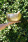 Antique Singing Bowl for sound healing and meditation