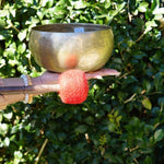 Antique Singing Bowl for sound healing and meditation