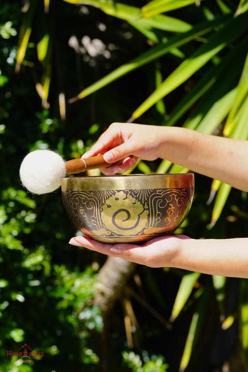 Buy Singing bowl online with free Silk Ring Cushion and mallet at best prices.