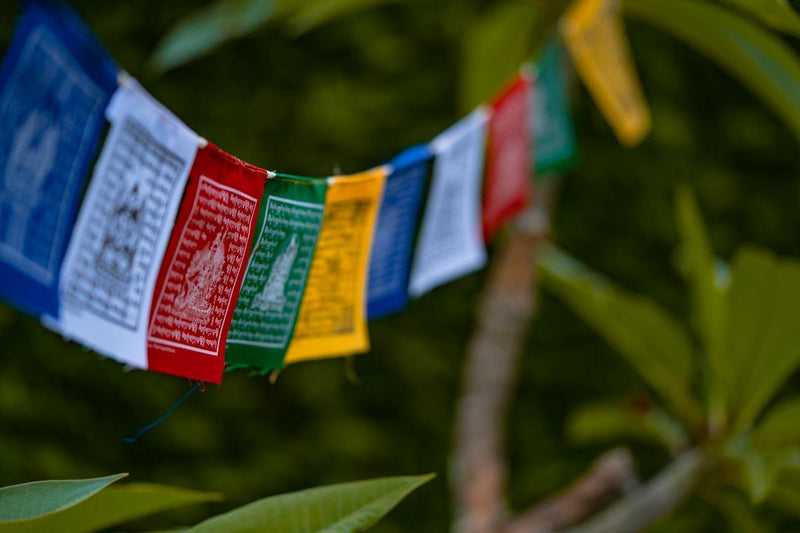 Lungta Wind horse prayer flag