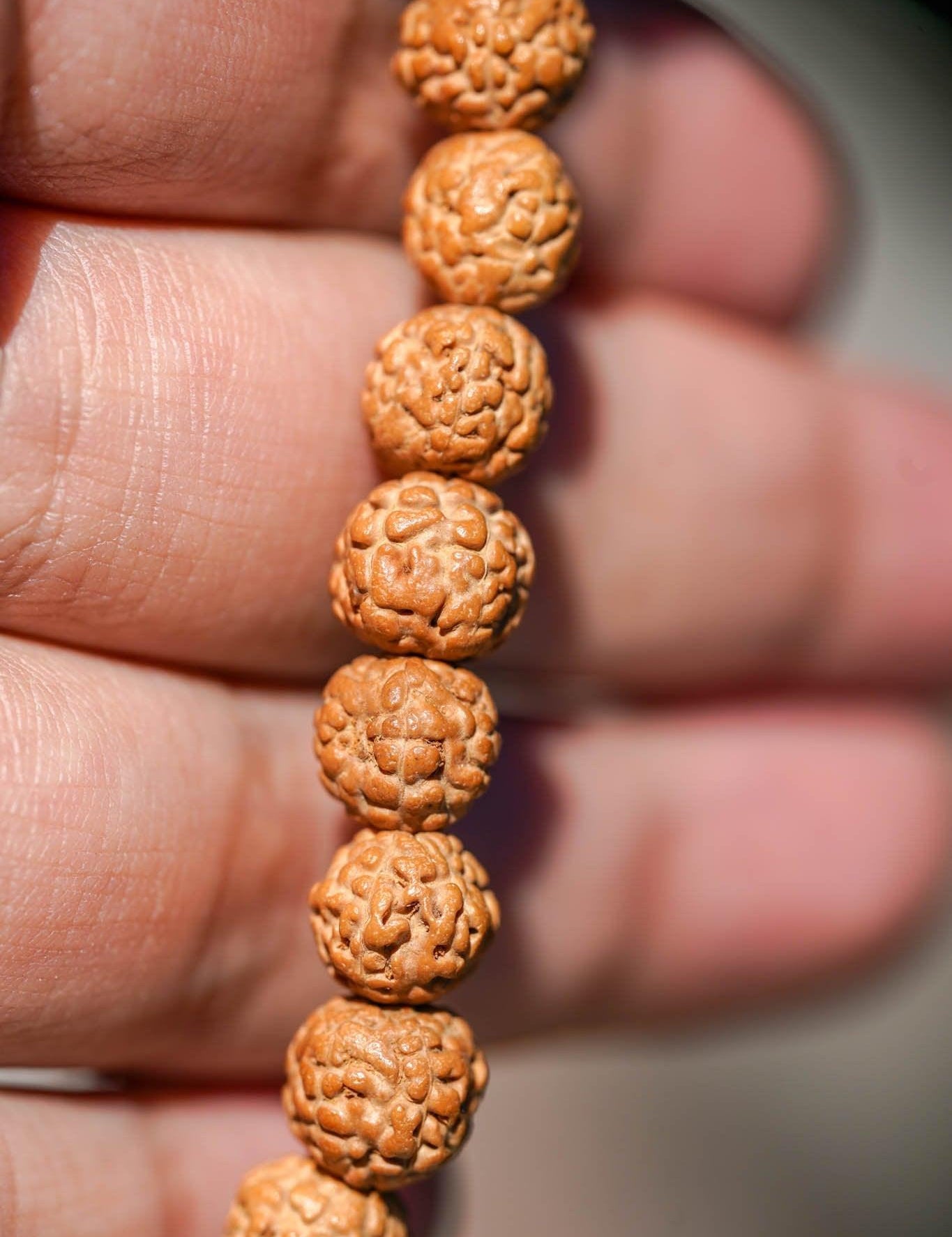 Natural Rudraksha Bead Bracelet - Unisex Bracelet for Spiritual and Yoga Person - Meditation & Healing wrist mala from Himalayas | Shiva