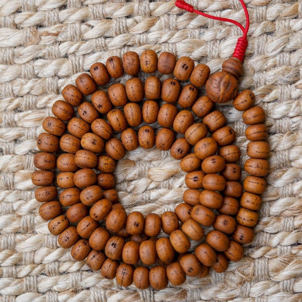 Bodhi malas 2025