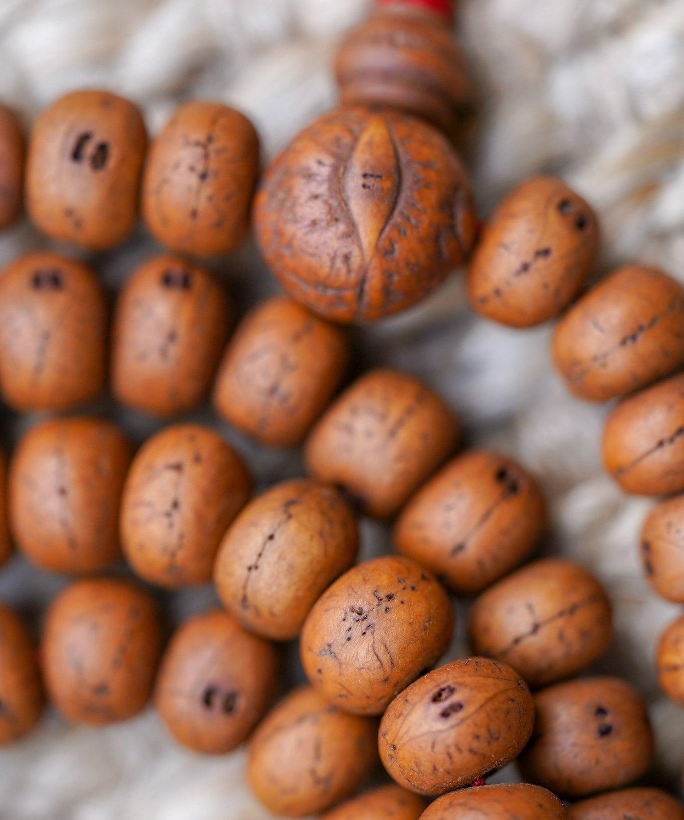 14 mm Bodhi Beads close up