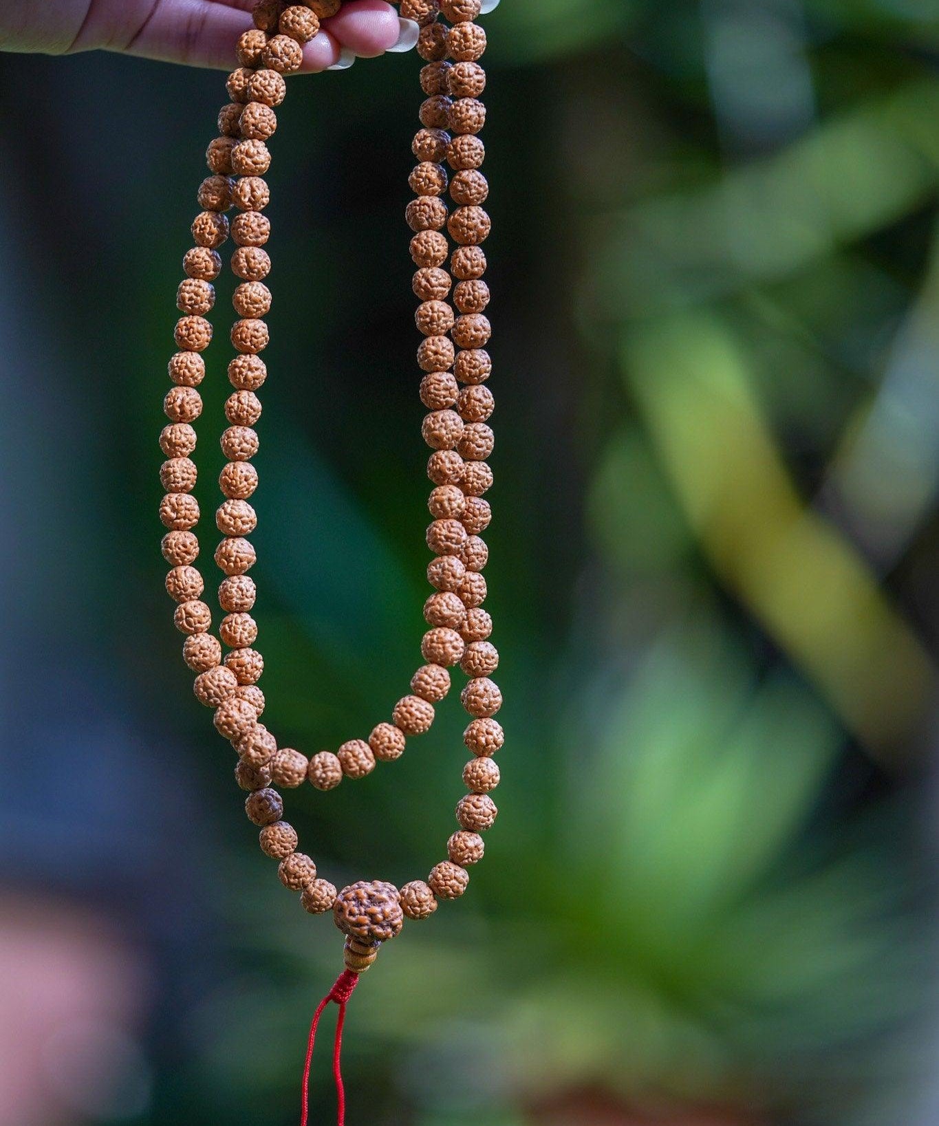 Rudraksha Bead Mala being held 