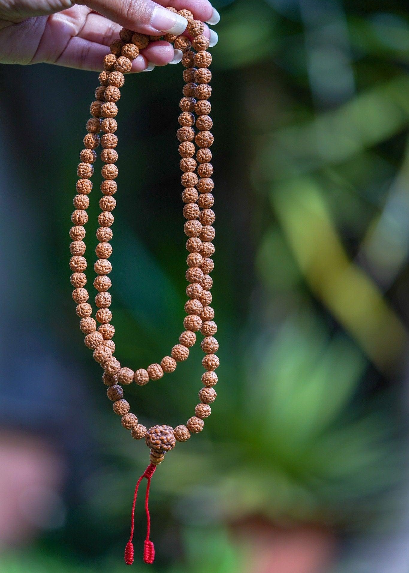 Rudraksha Bead Mala being held 