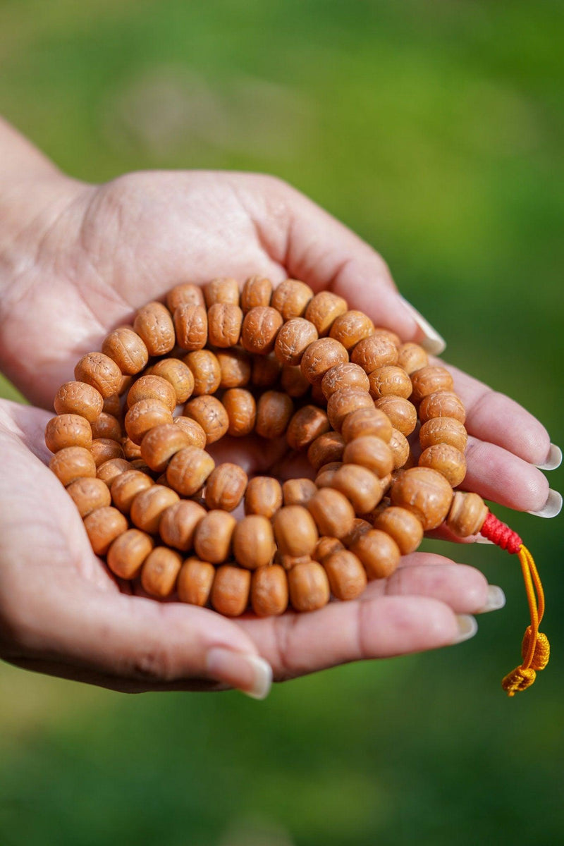 Natural Bodhi Bead Wrist Mala being held 