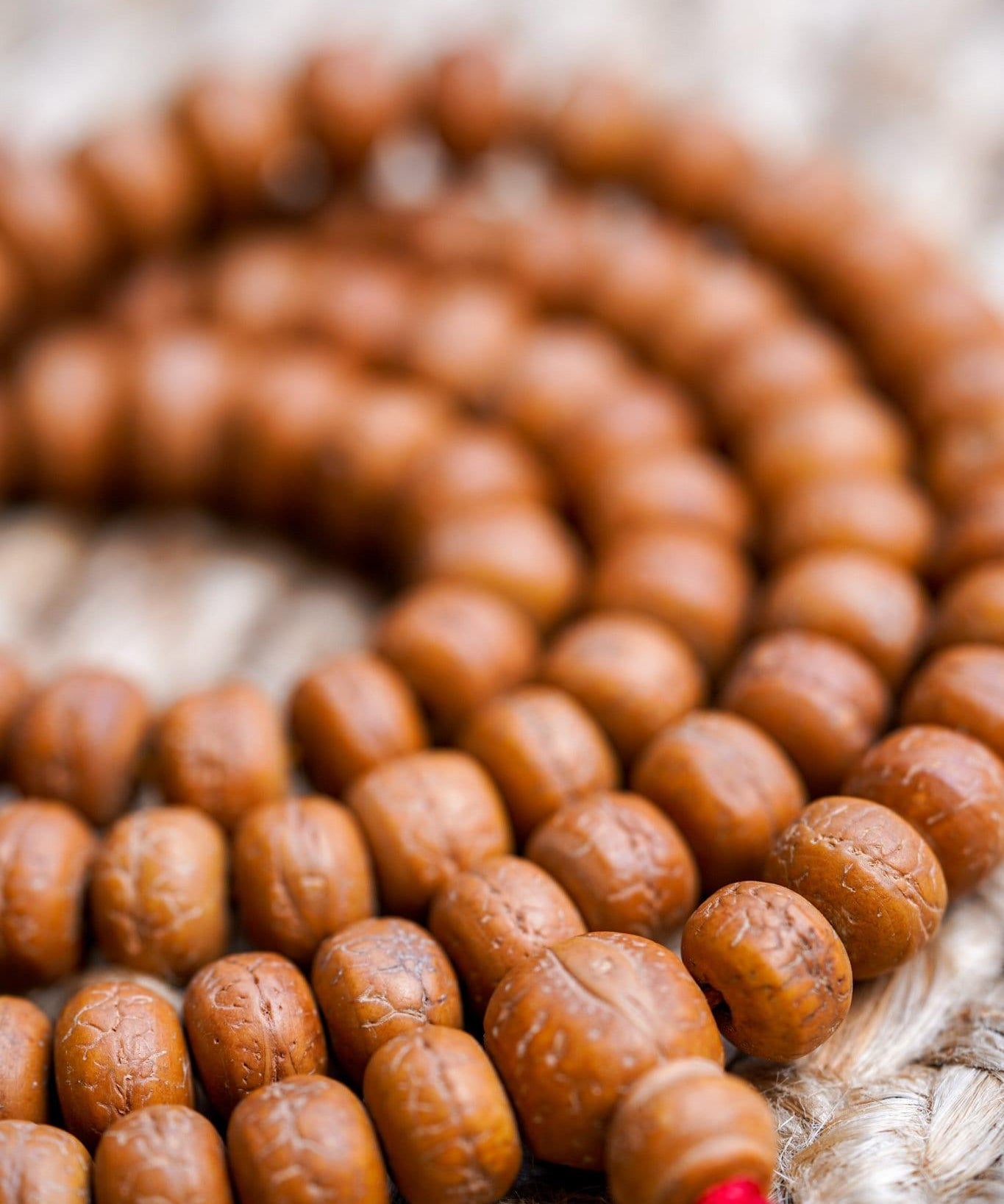 Natural Bodhi Bead Wrist Mala close up 