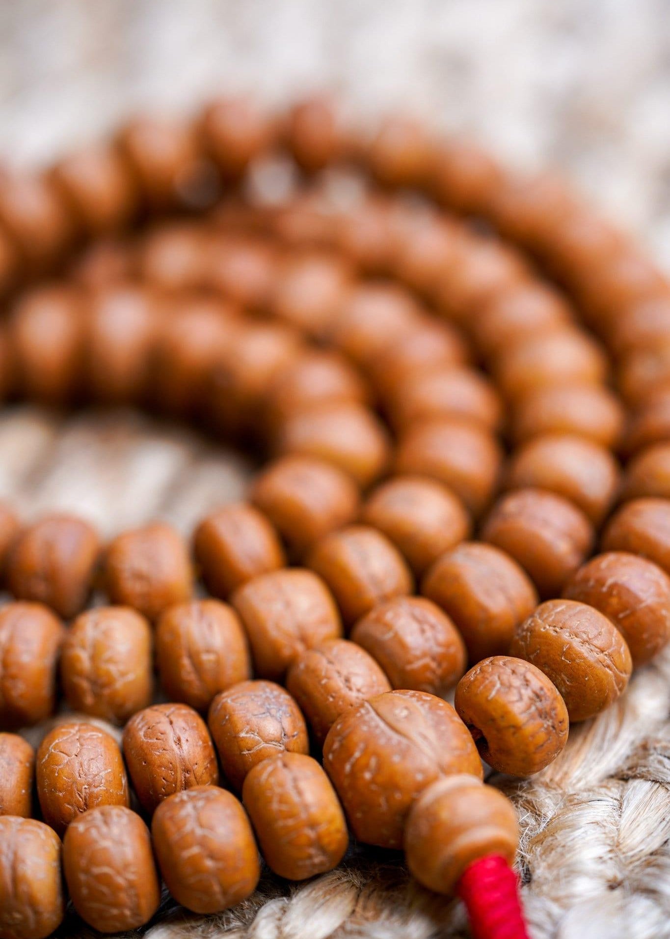 Natural Bodhi Bead Wrist Mala close up 