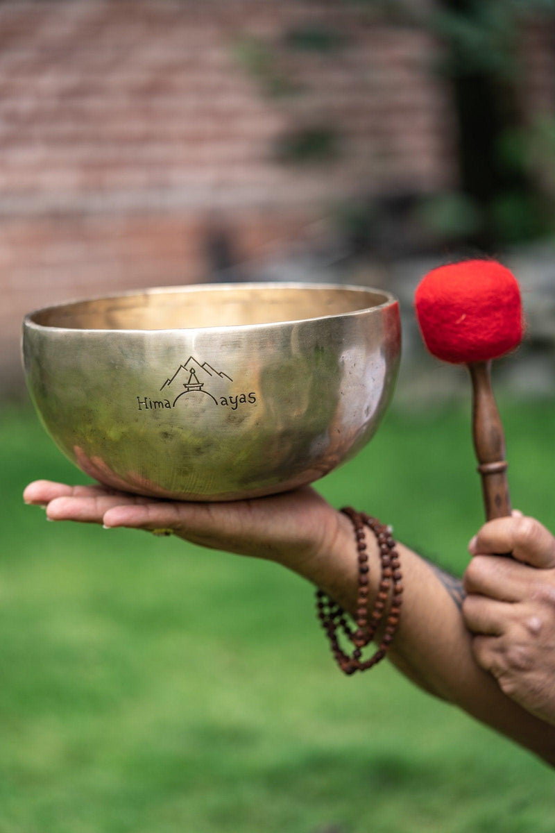 Buddha Shakti Carved Singing Bowl - Himalayas Shop