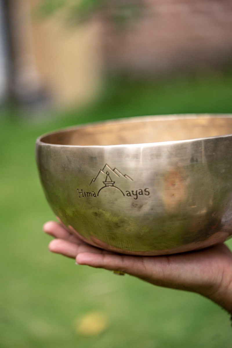 Buddha Shakti Carved Singing Bowl - Himalayas Shop