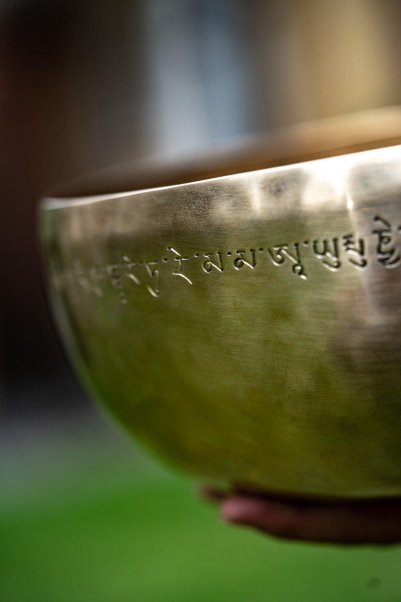 White Tara Singing Bowl - Himalayas Shop