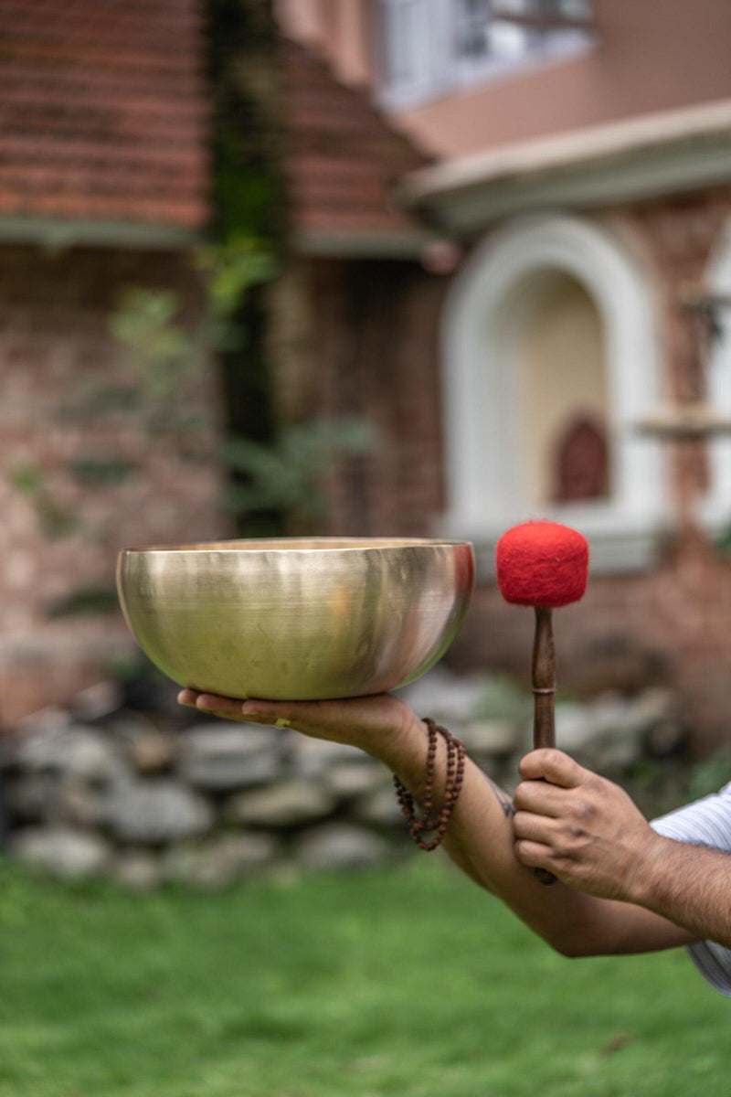Healing Singing Bowl - Himalayas Shop
