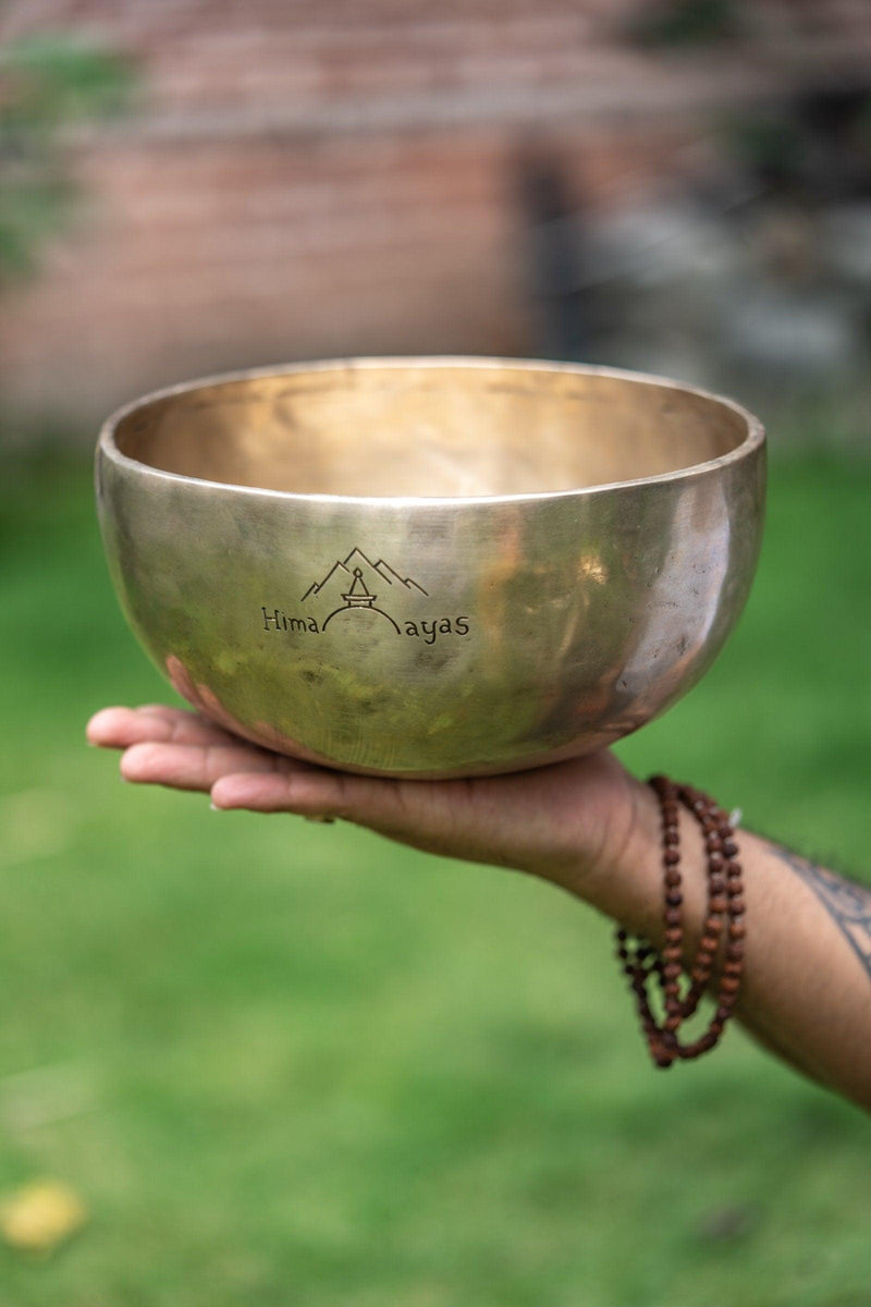 Buddha Shakti Carved Singing Bowl - Himalayas Shop