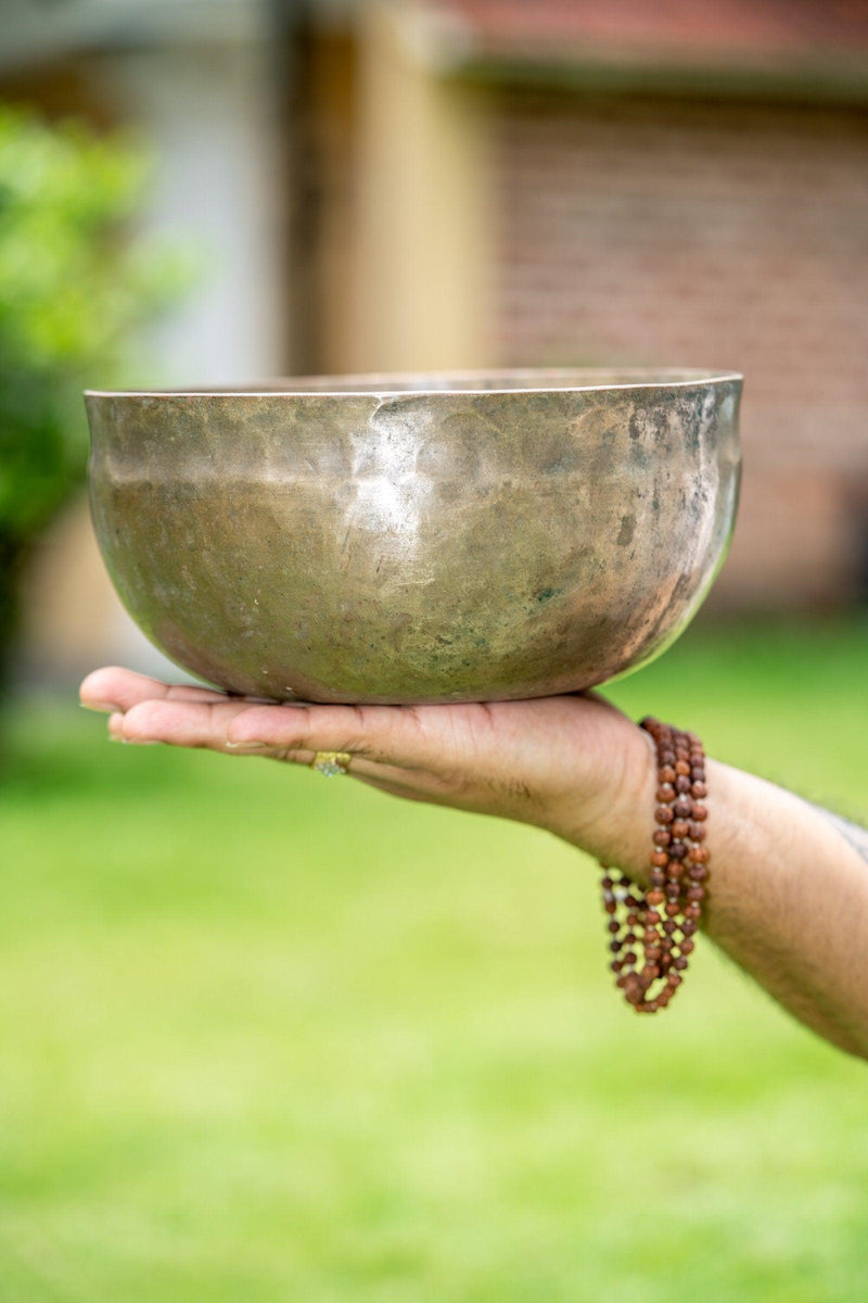 Collectable Singing Bowl - Himalayas Shop