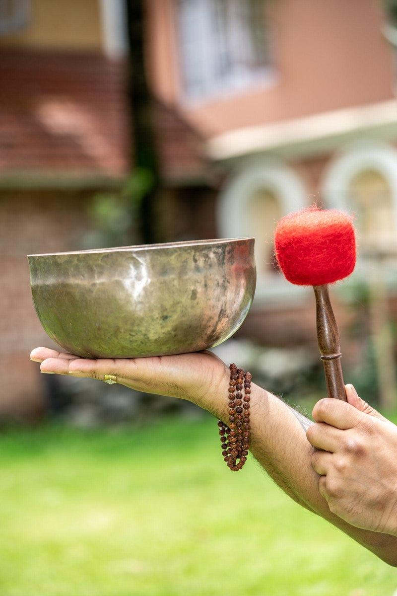Collectable Singing Bowl - Himalayas Shop