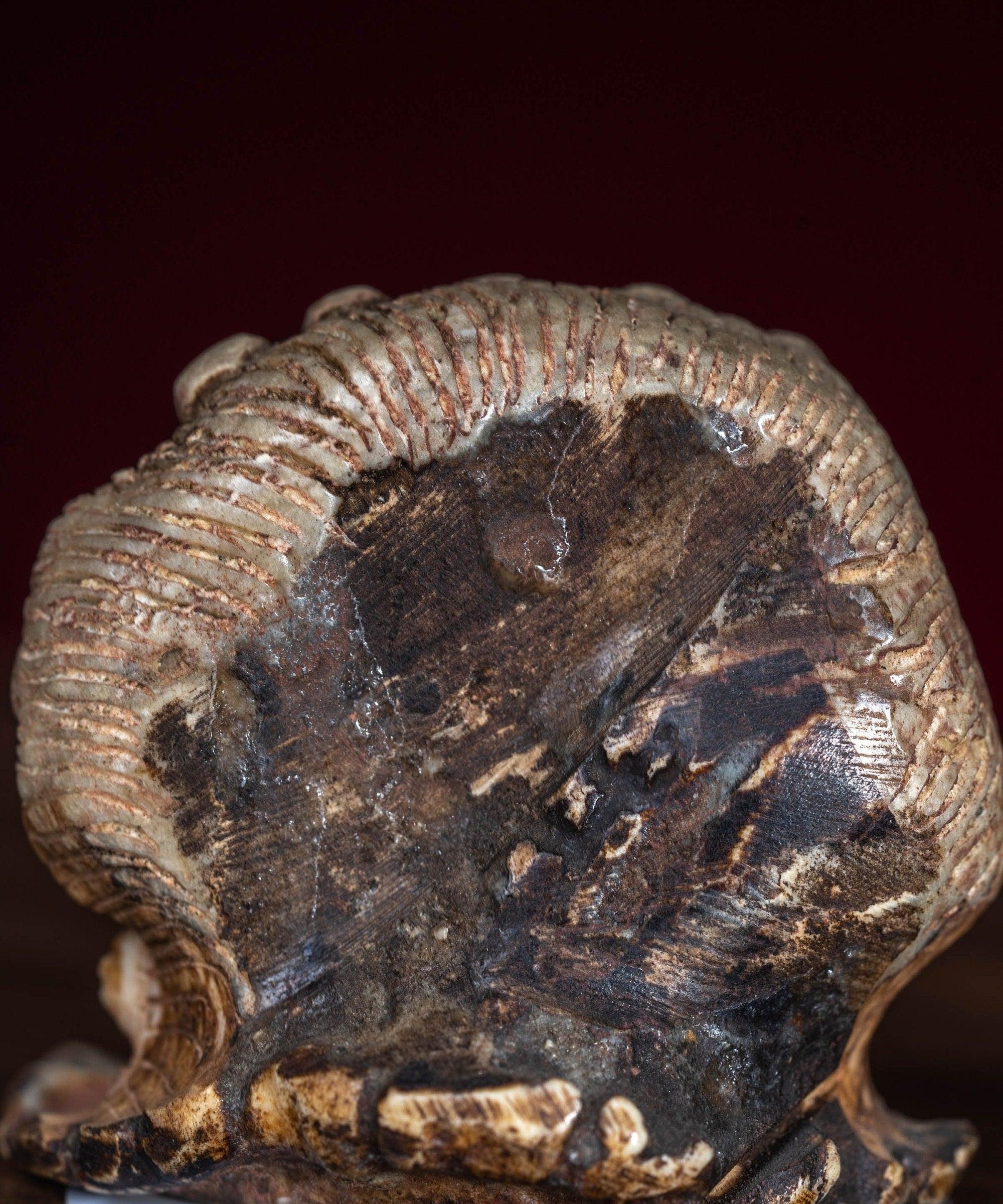 Bone carving Bhairab statue for altar and rituals