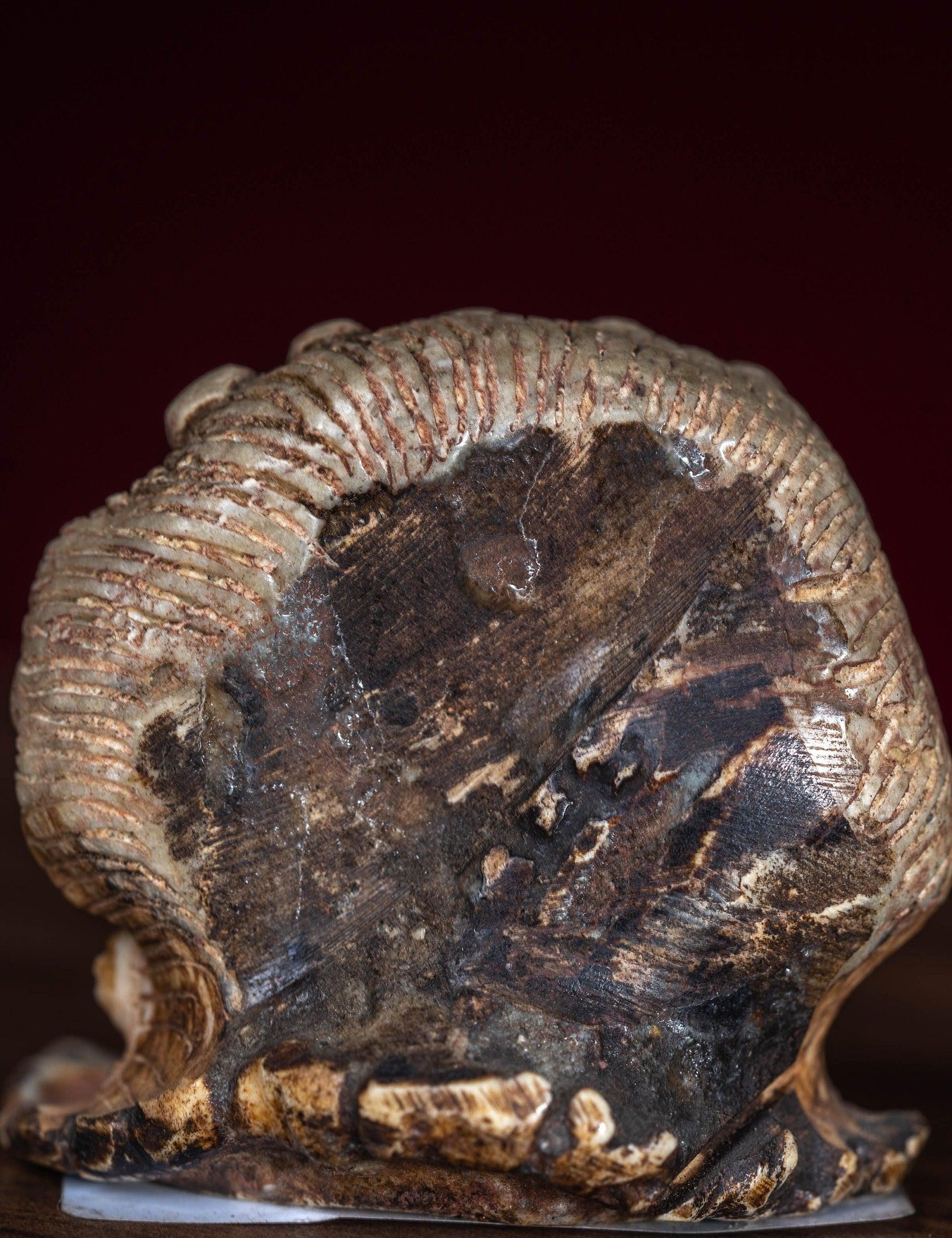 Bone carving Bhairab statue for altar and rituals