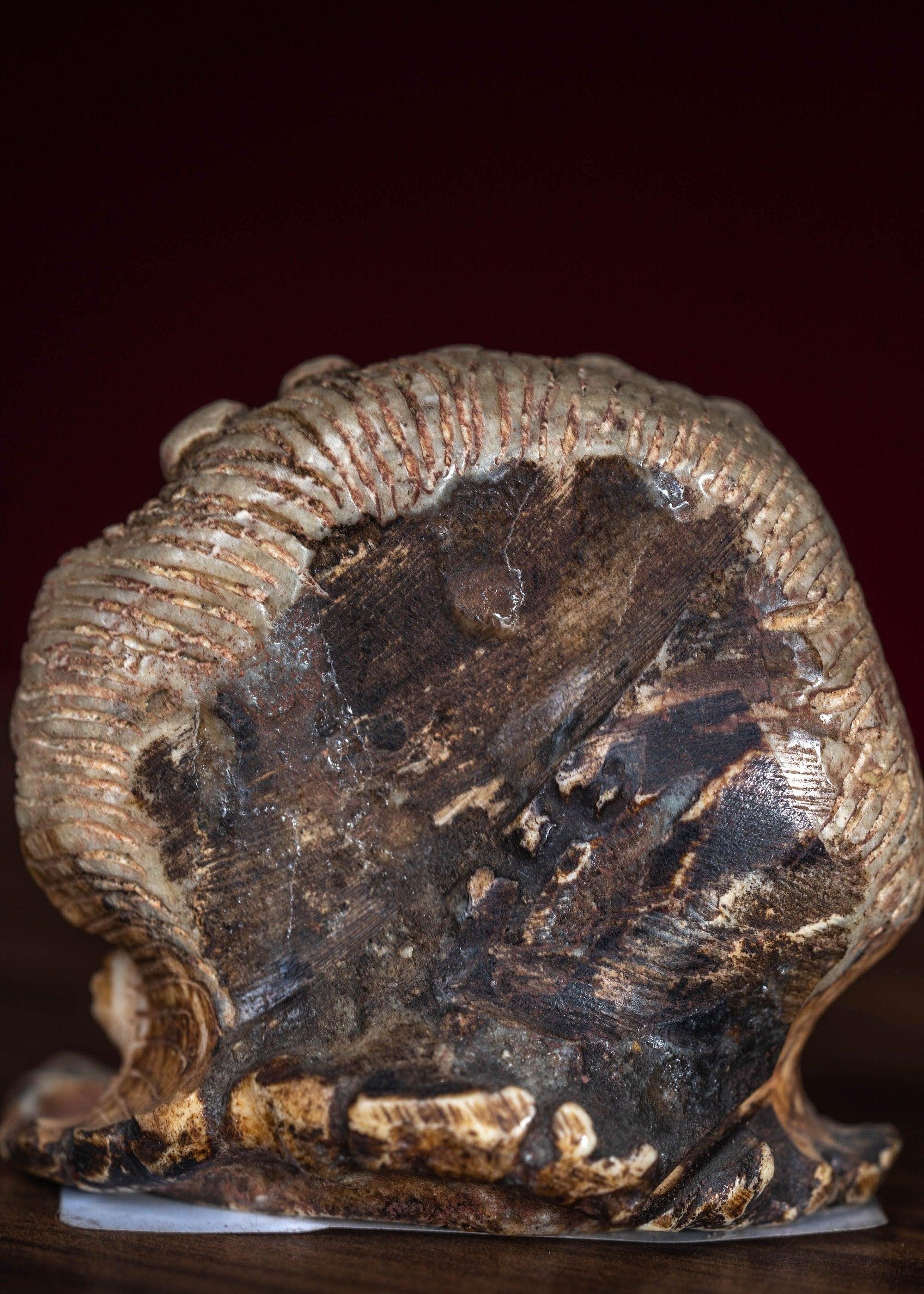 Bone carving Bhairab statue for altar and rituals