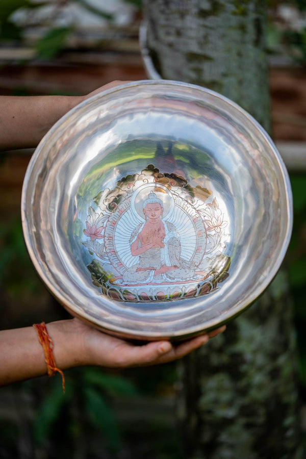 Vairochana Buddha Carved Singing Bowl - Himalayas Shop