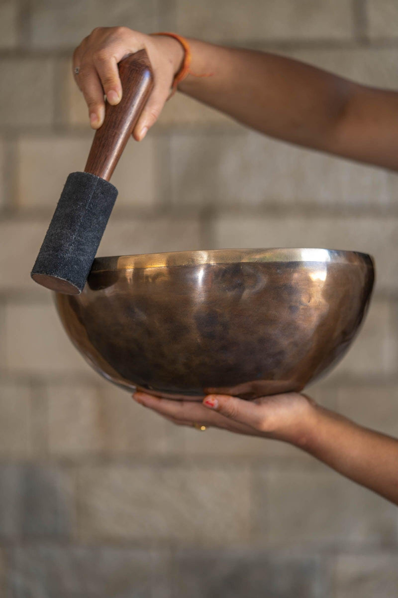 Vairochana Buddha Carved Singing Bowl - Himalayas Shop